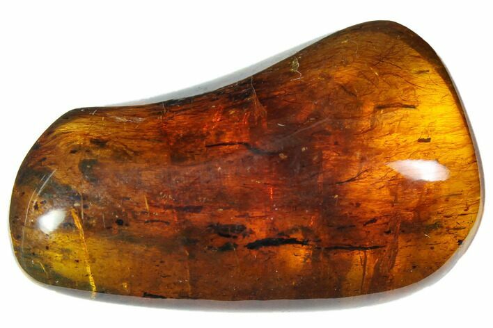 Polished Chiapas Amber ( g) - Mexico #114767